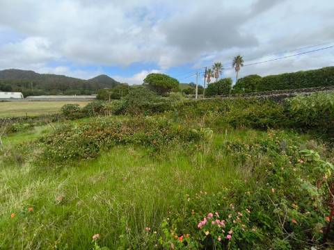 Terreno Para Construção  Venda em Lagoa (Nossa Senhora do Rosário),Lagoa (São Miguel)