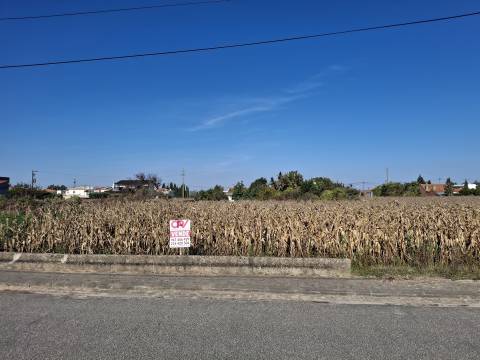 Terreno Para Construção  Venda em Aradas,Aveiro