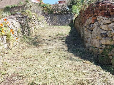 Terreno Rústico  Venda em Assentiz,Torres Novas