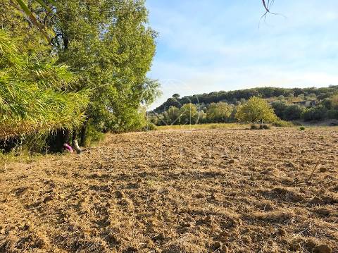 Terreno Misto  Venda em Torres Novas (São Pedro), Lapas e Ribeira Branca,Torres Novas