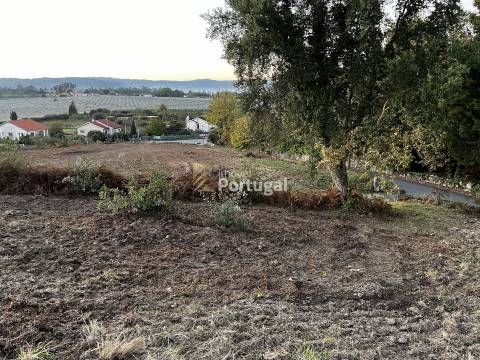 Venda Terreno 10.092,41m² para Construção Habitacional em Lago