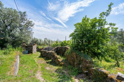Terreno (700m2) c/ Ruína em Serzedelo – Póvoa de Lanhoso