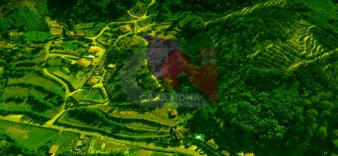 Terreno Agrícola e Florestal com 4000m2 em Soalhães, Marco de Canaveses