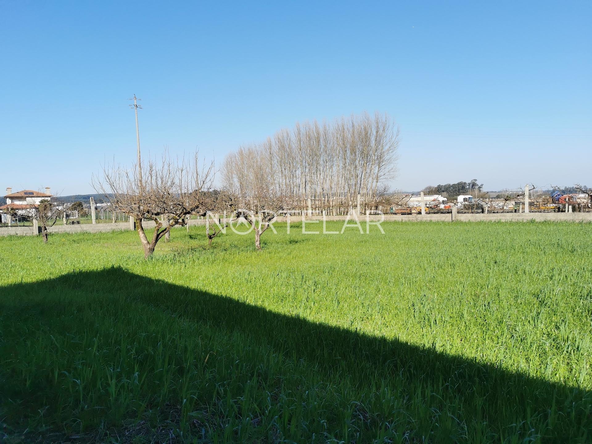 Terreno Urbano em Bougado, Trofa 3000m²