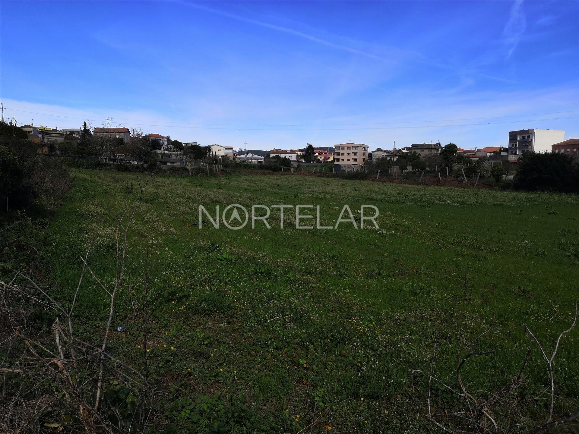 Terreno para construção de moradias centro de Ribeirã
<!DOCTYPE html>
<html lang=