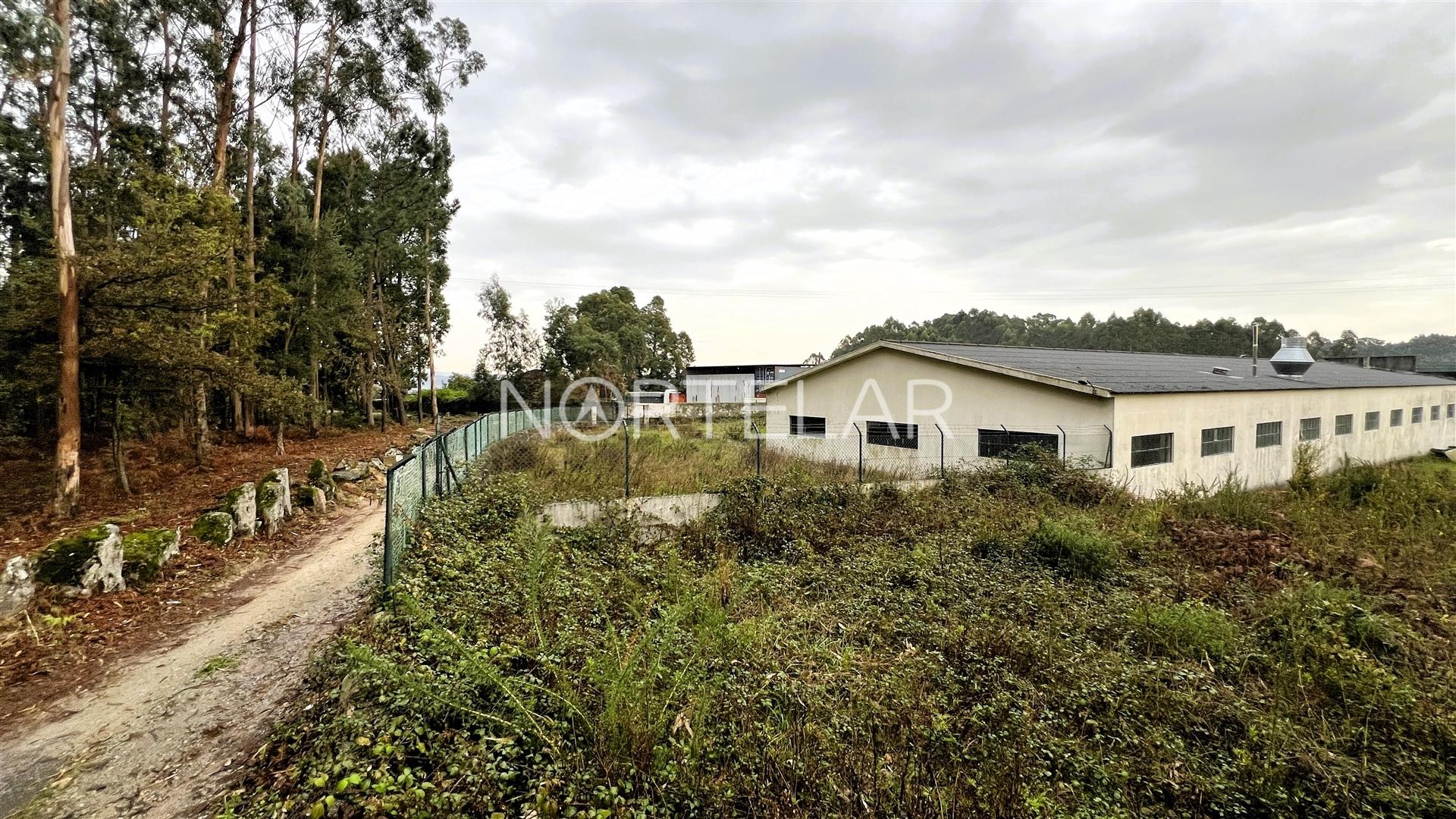 Terreno Industrial - São Mamede Coronado, Trofa