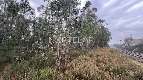 Terreno Rústico com 4.200 m² – Covelas, Trofa