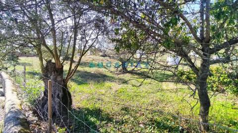 ANG627 - Terreno de 539m2 para Venda em Milagres, Leiria