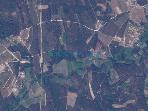 ANG1017 - Terreno de 4174m2 à Venda em Maceira, Leiria
