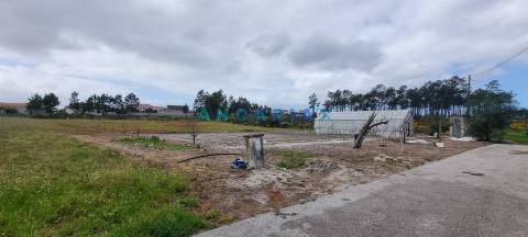 ANG1038 - Terreno para Venda em Fonte Cova, Monte Redondo, Leiria