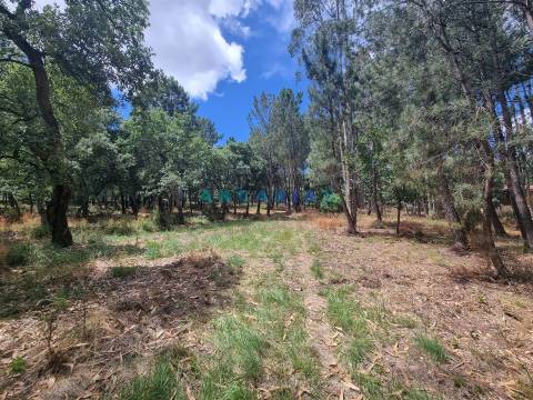 ANG1153  - Terreno para Venda em Porto de Mós