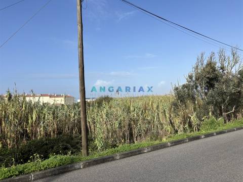 ANG1522 - Terreno para Venda em Praia do Pedrógão, Leiria