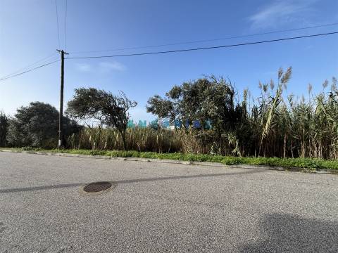 ANG1522 - Terreno para Venda em Praia do Pedrógão, Leiria