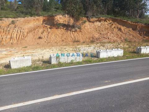 ANG1559 - Terreno para Venda em Pelariga, Pombal