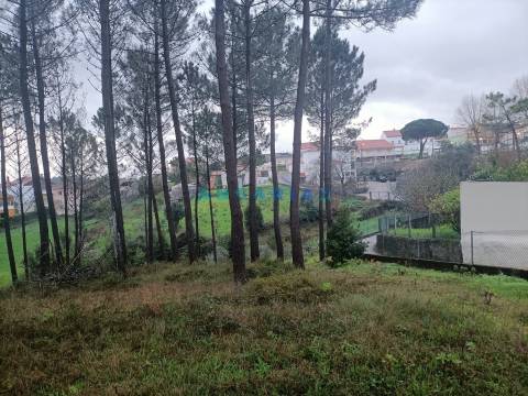ANG1577 - Terreno para Venda em Chainça, Leiria
