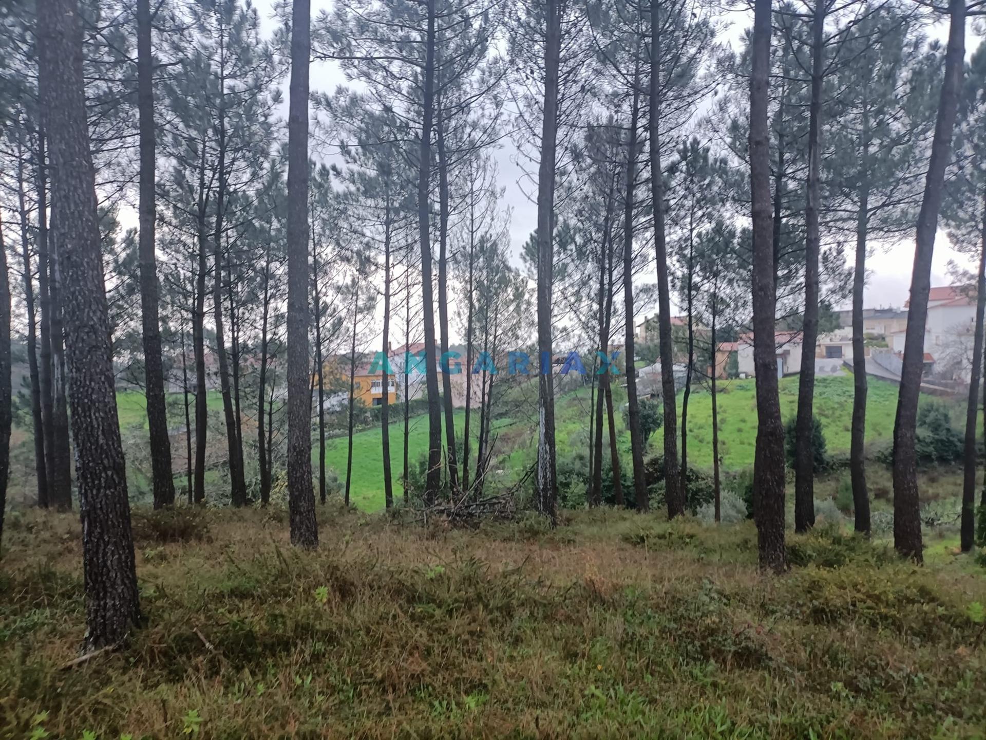 ANG1577 - Terreno para Venda em Chainça, Leiria