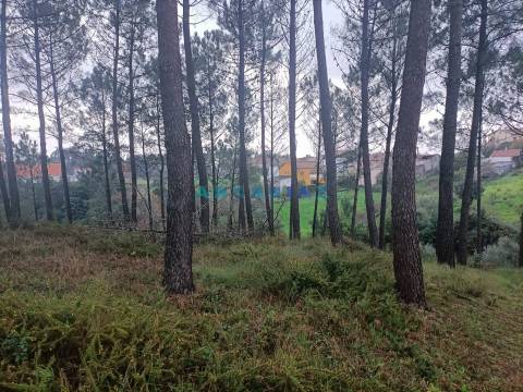 ANG1577 - Terreno para Venda em Chainça, Leiria