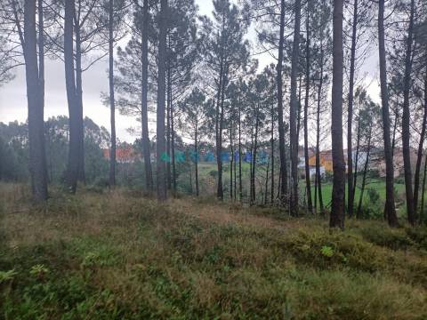 ANG1577 - Terreno para Venda em Chainça, Leiria