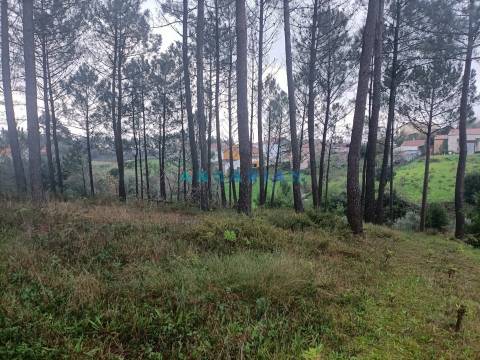 ANG1577 - Terreno para Venda em Chainça, Leiria