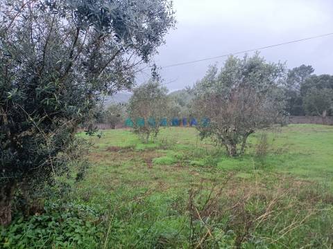 ANG1577 - Terreno para Venda em Chainça, Leiria