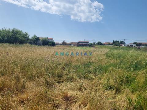 ANG1605 - Terreno para Venda em Maceira, Leiria