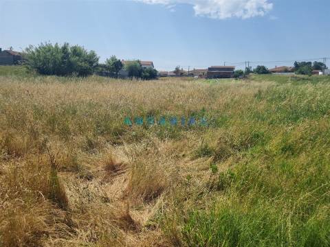 ANG1605 - Terreno para Venda em Maceira, Leiria