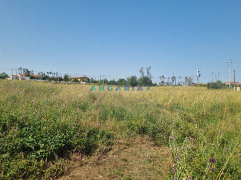 ANG1605 - Terreno para Venda em Maceira, Leiria