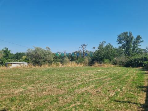 ANG1616 - Terreno para Construção à Venda em Amor, Leiria