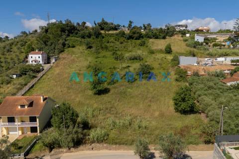 ANG1629 - Terreno para Venda em Barreira, Leiria