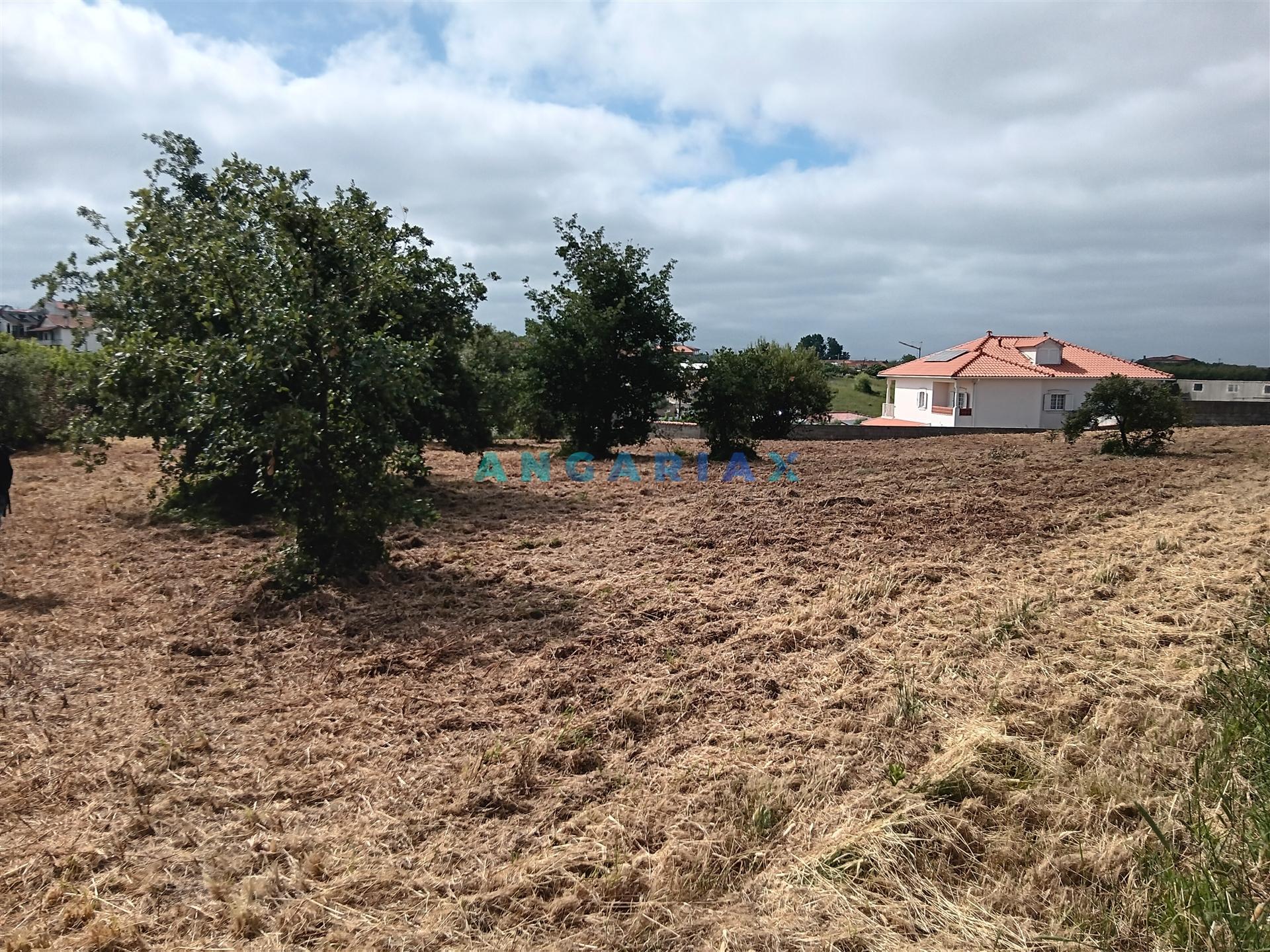 ANG1634 - Terreno para Venda em Batalha