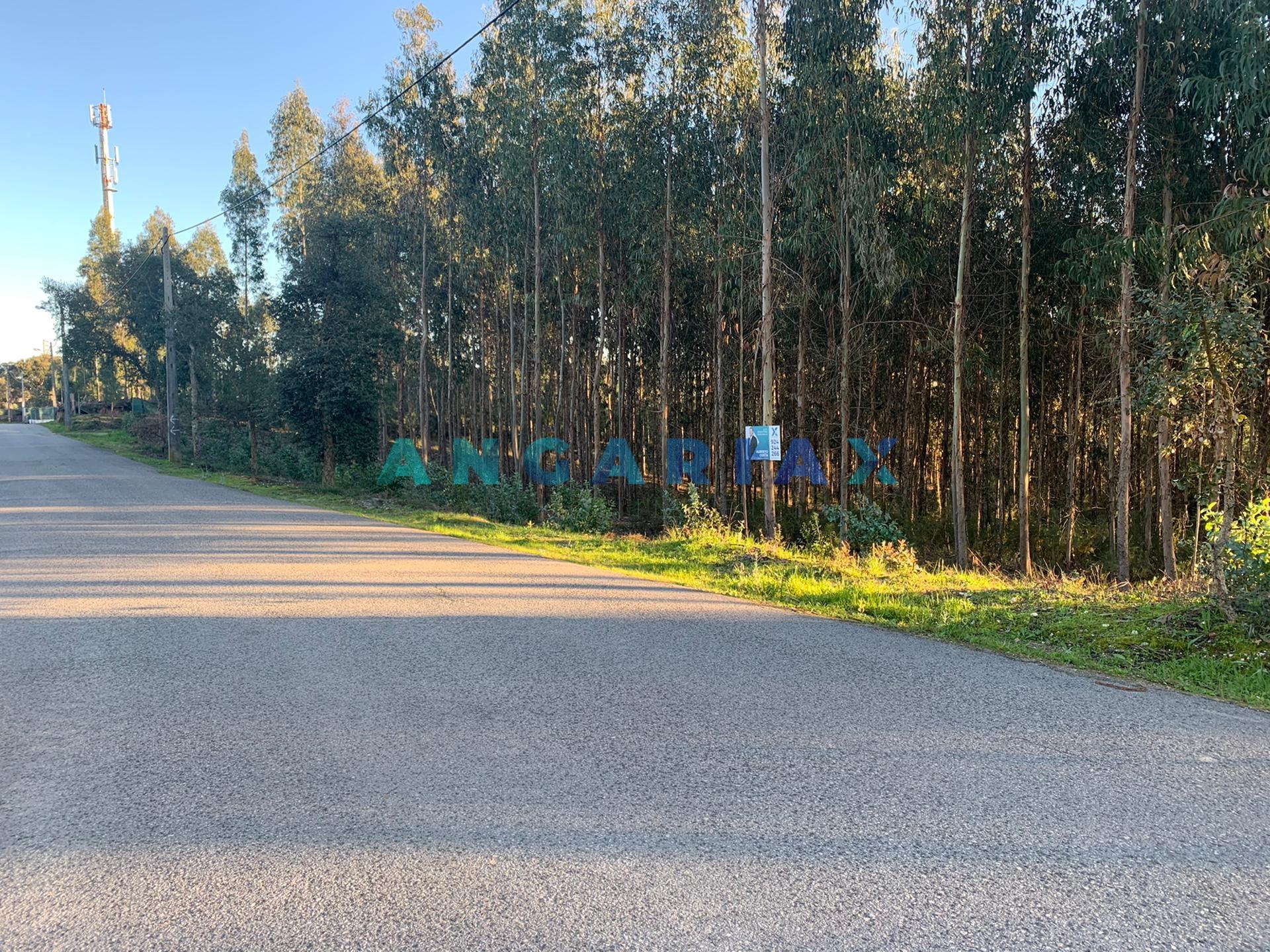 ANG109 - Terreno para Construção para Venda em Arrabal