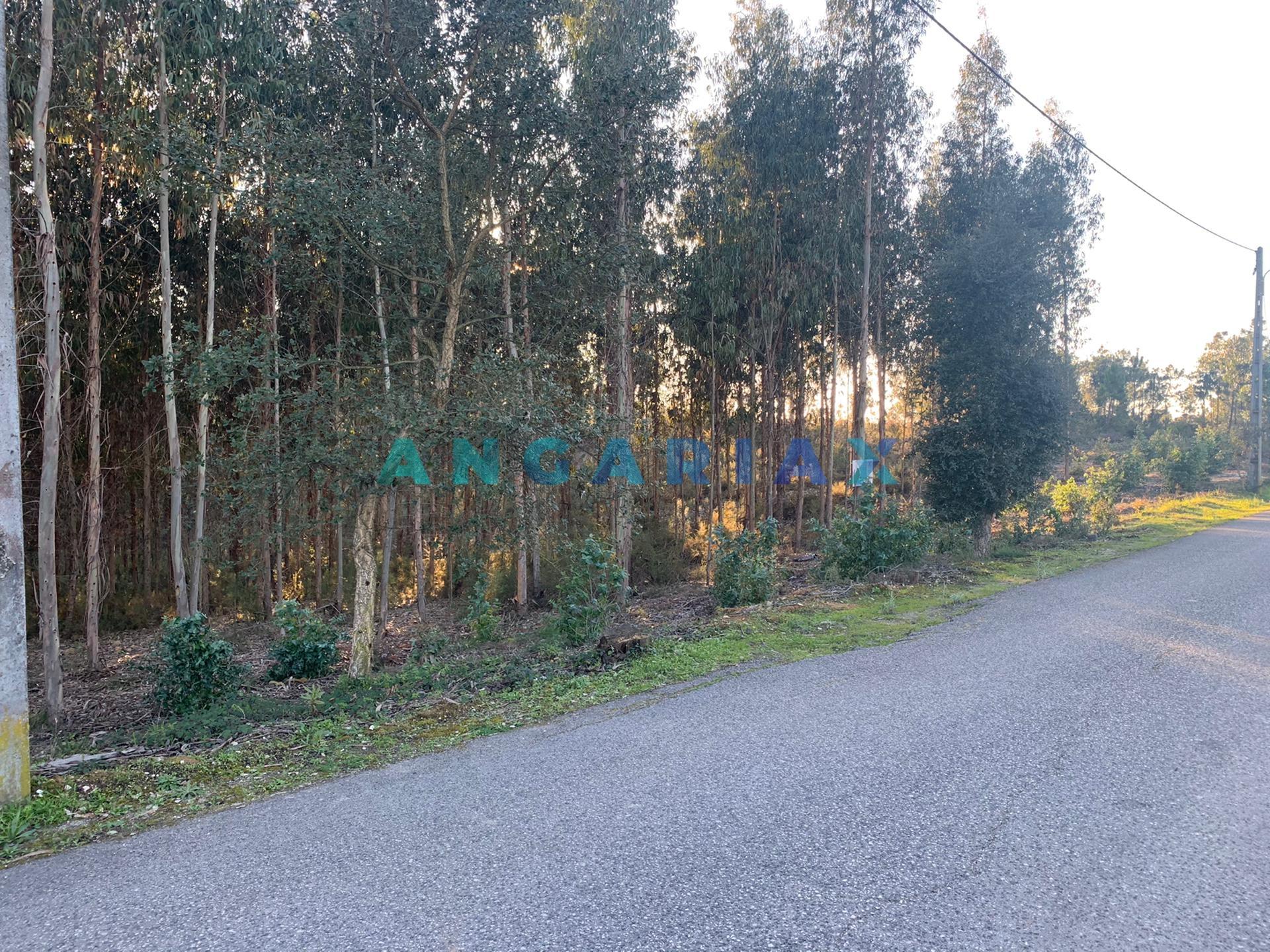 ANG109 - Terreno para Construção para Venda em Arrabal