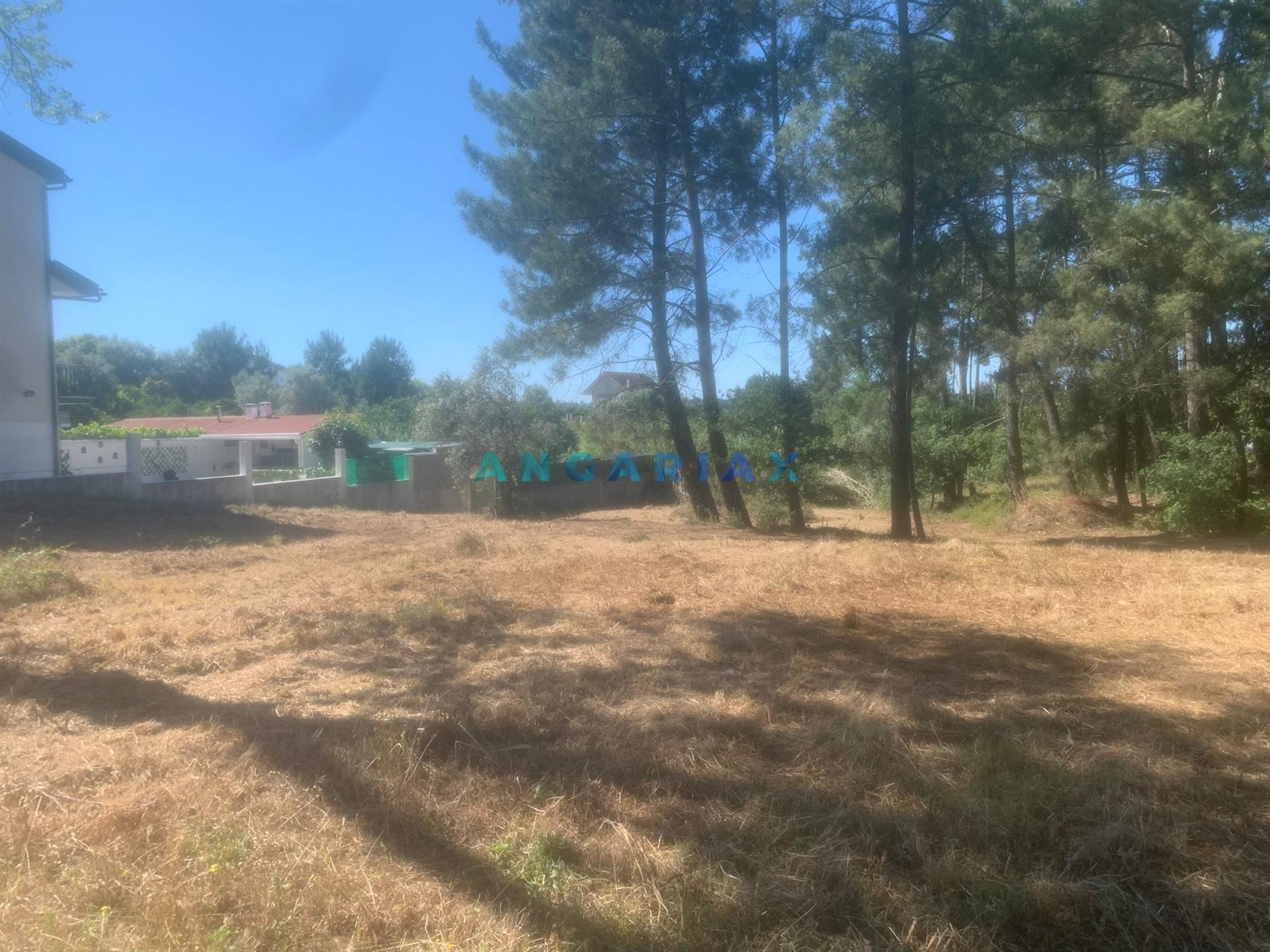 ANG481 - Terreno para construção para Venda em Campo Amarelo, Leiria