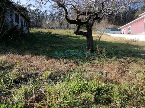 Terreno Para Construção  Venda em Milagres,Leiria