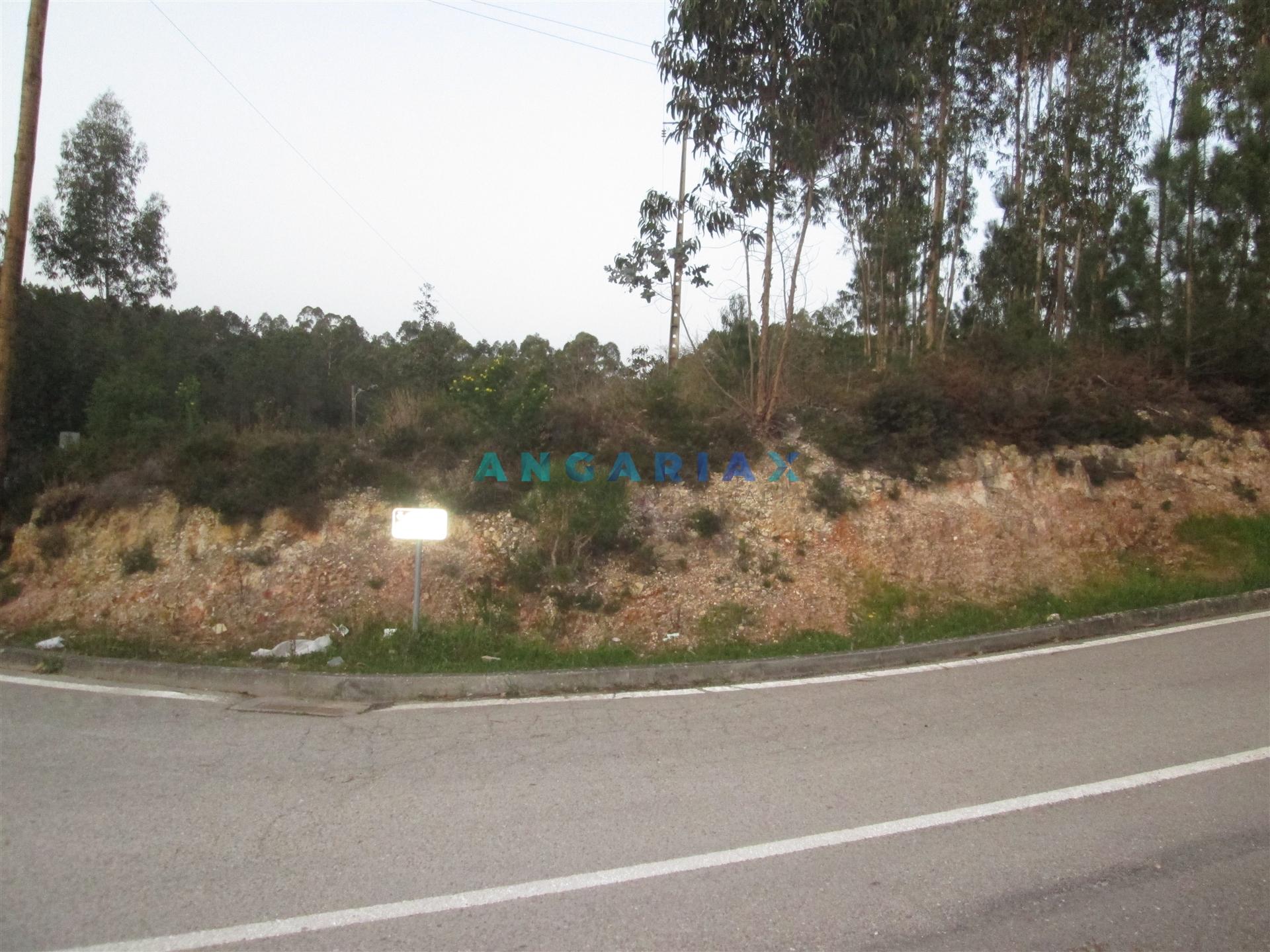 ANG933 - Terreno para Construção com 2664m2 para Venda em Colmeias, Leiria