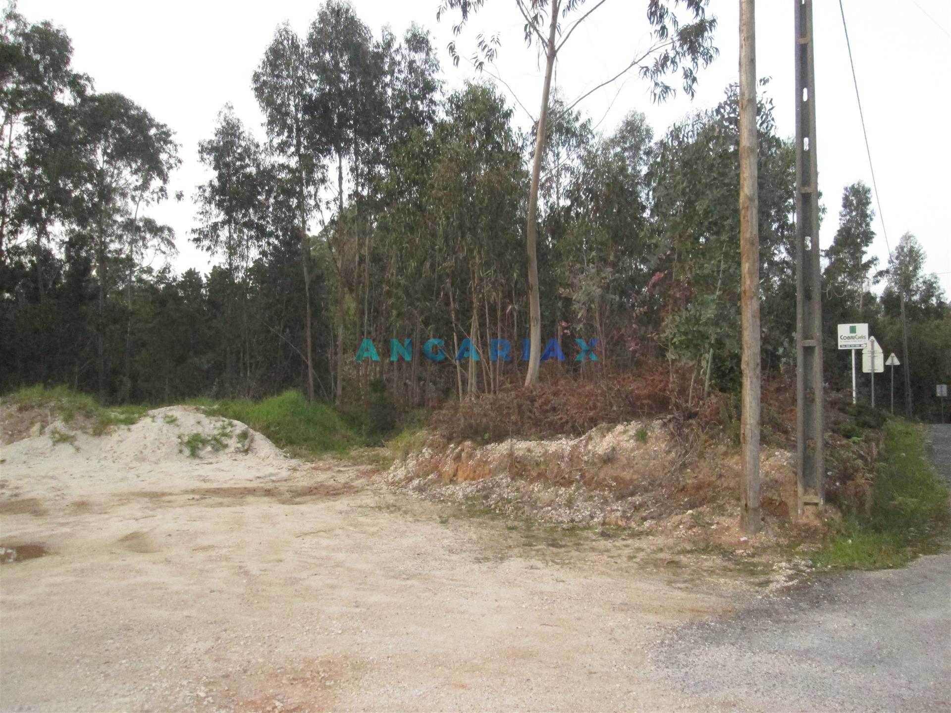 ANG933 - Terreno para Construção com 2664m2 para Venda em Colmeias, Leiria