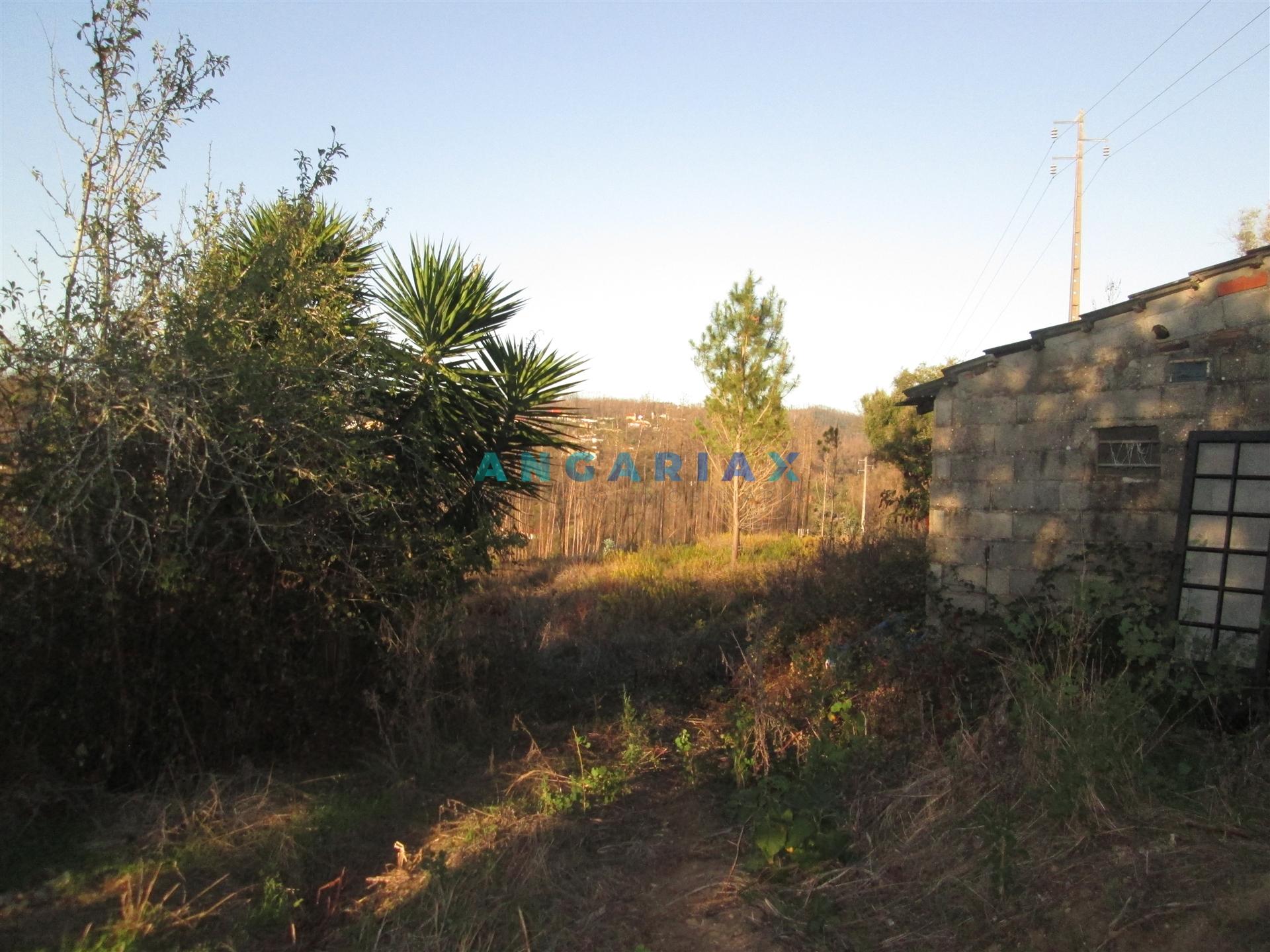 ANG930 - Terreno para Venda em Valongo, Colmeias