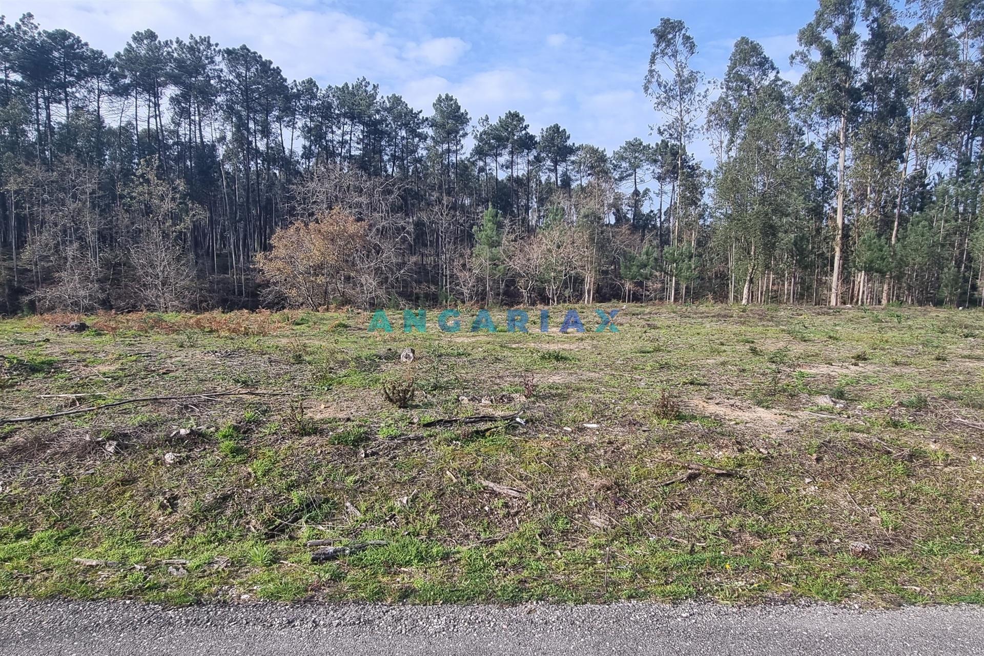 ANG1017 - Terreno de 4174m2 à Venda em Maceira, Leiria