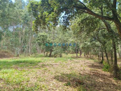 ANG1153  - Terreno para Venda em Porto de Mós