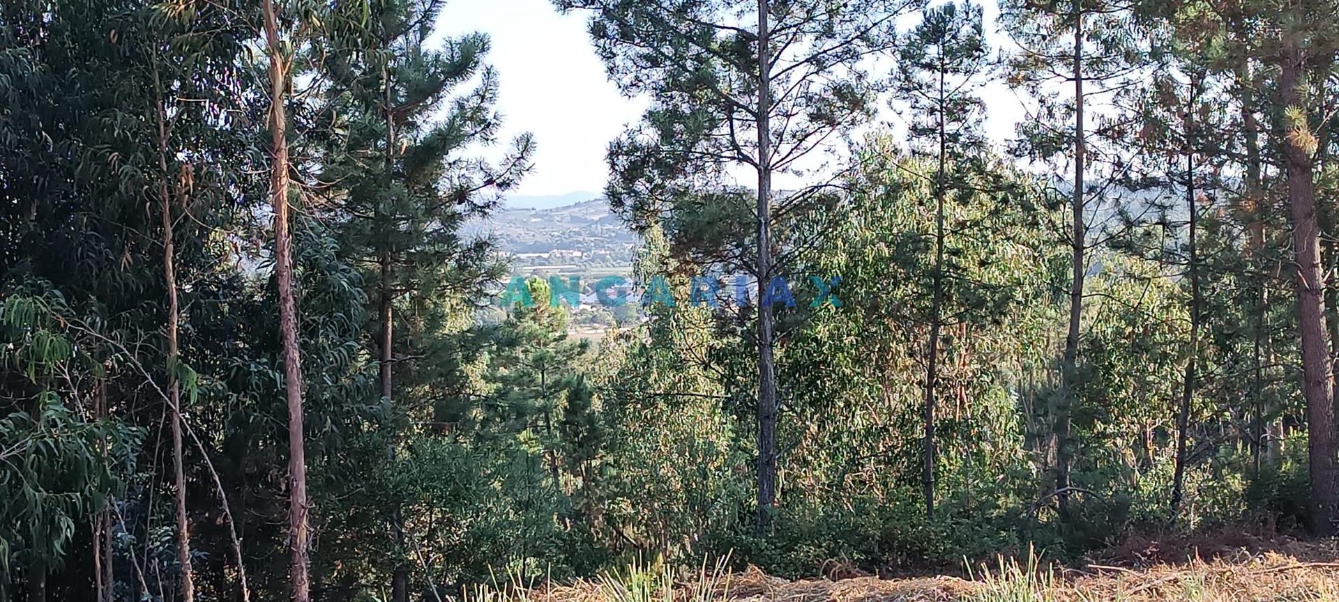 ANG1192 - Terreno com 416m2 para Venda em Leiria