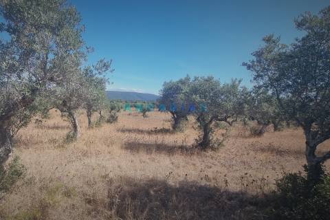 ANG1195 - Terreno para Venda em Alcanena, Santarém