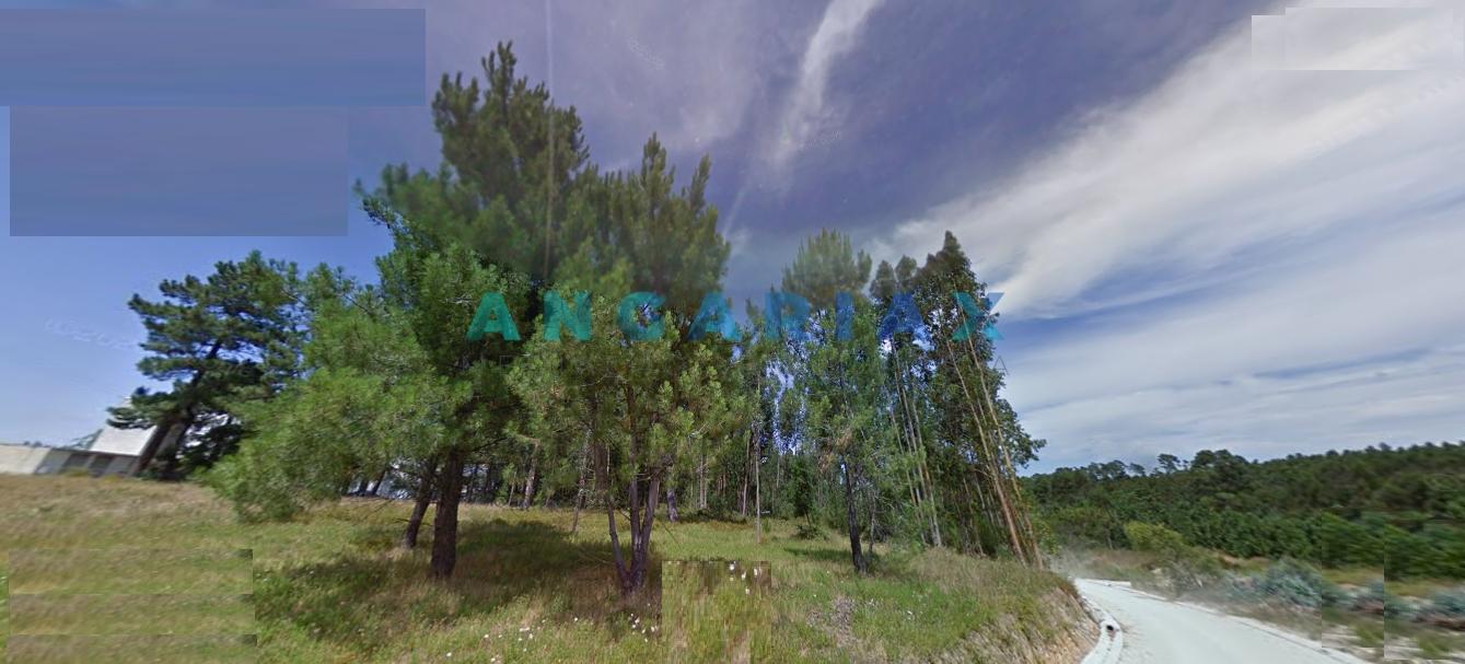 ANG1305 - Terreno para Construção para Venda em Marinha Grande