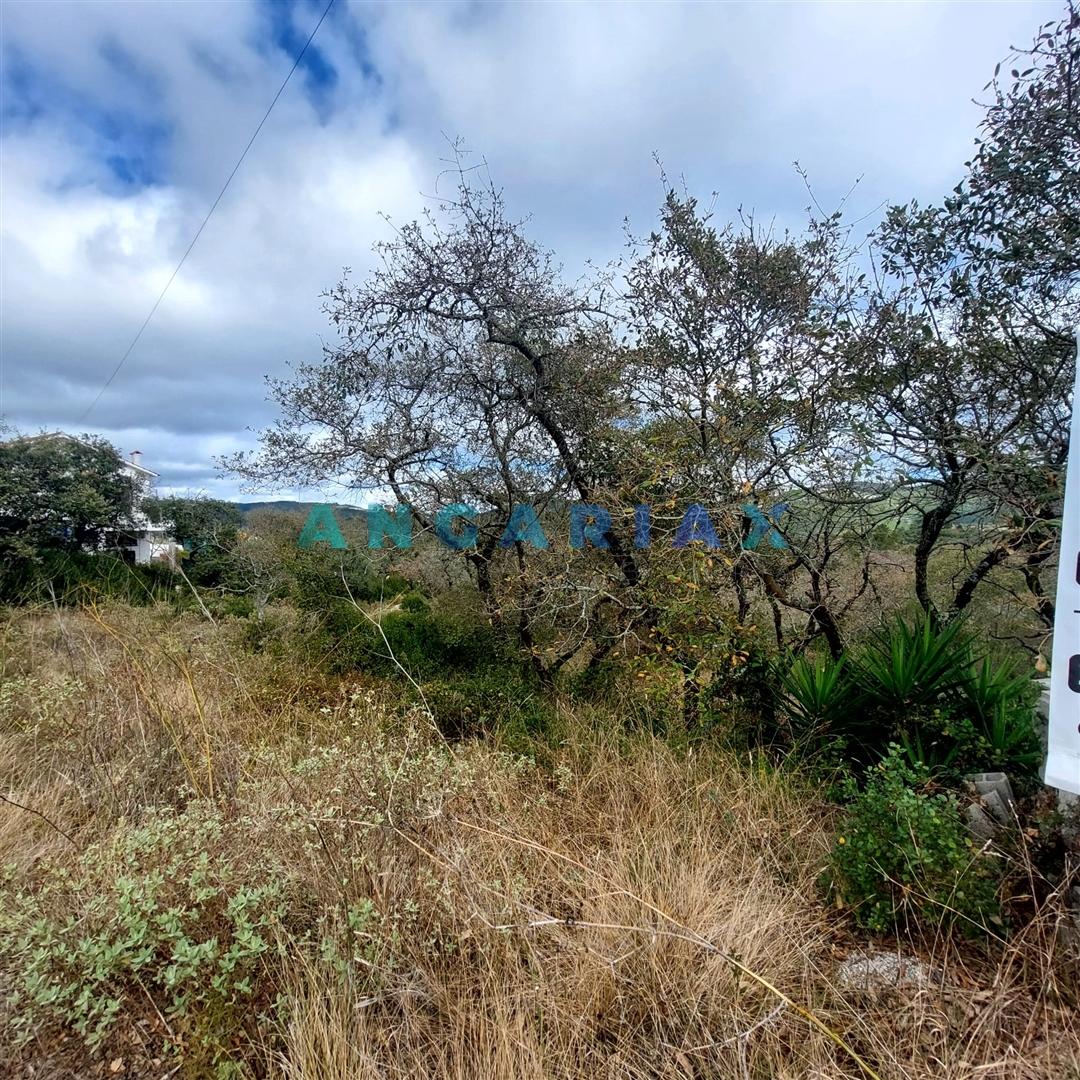 ANG1223 - Terreno para Venda em Alqueidão da Serra, Porto de Mós