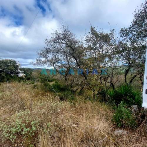 ANG1223 - Terreno para Venda em Alqueidão da Serra, Porto de Mós