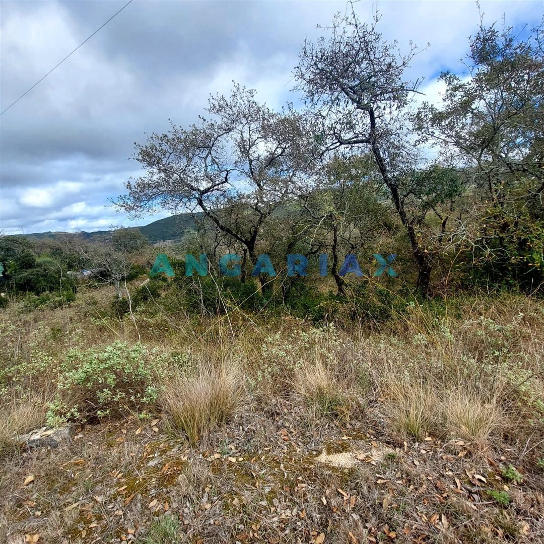 ANG1223 - Terreno para Venda em Alqueidão da Serra, Porto de Mós