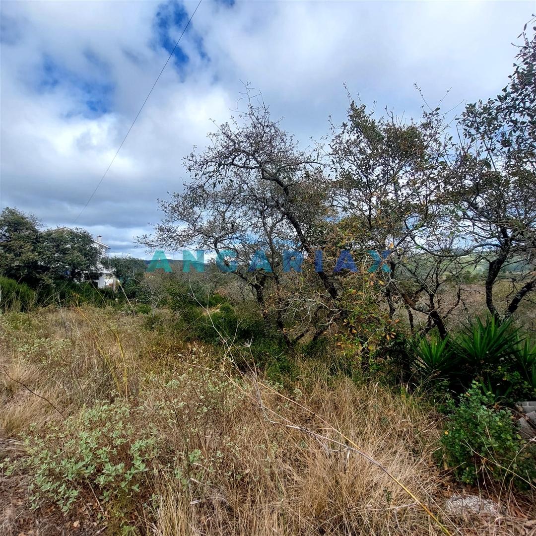 ANG1223 - Terreno para Venda em Alqueidão da Serra, Porto de Mós