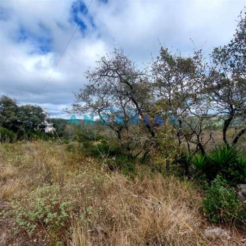 ANG1223 - Terreno para Venda em Alqueidão da Serra, Porto de Mós