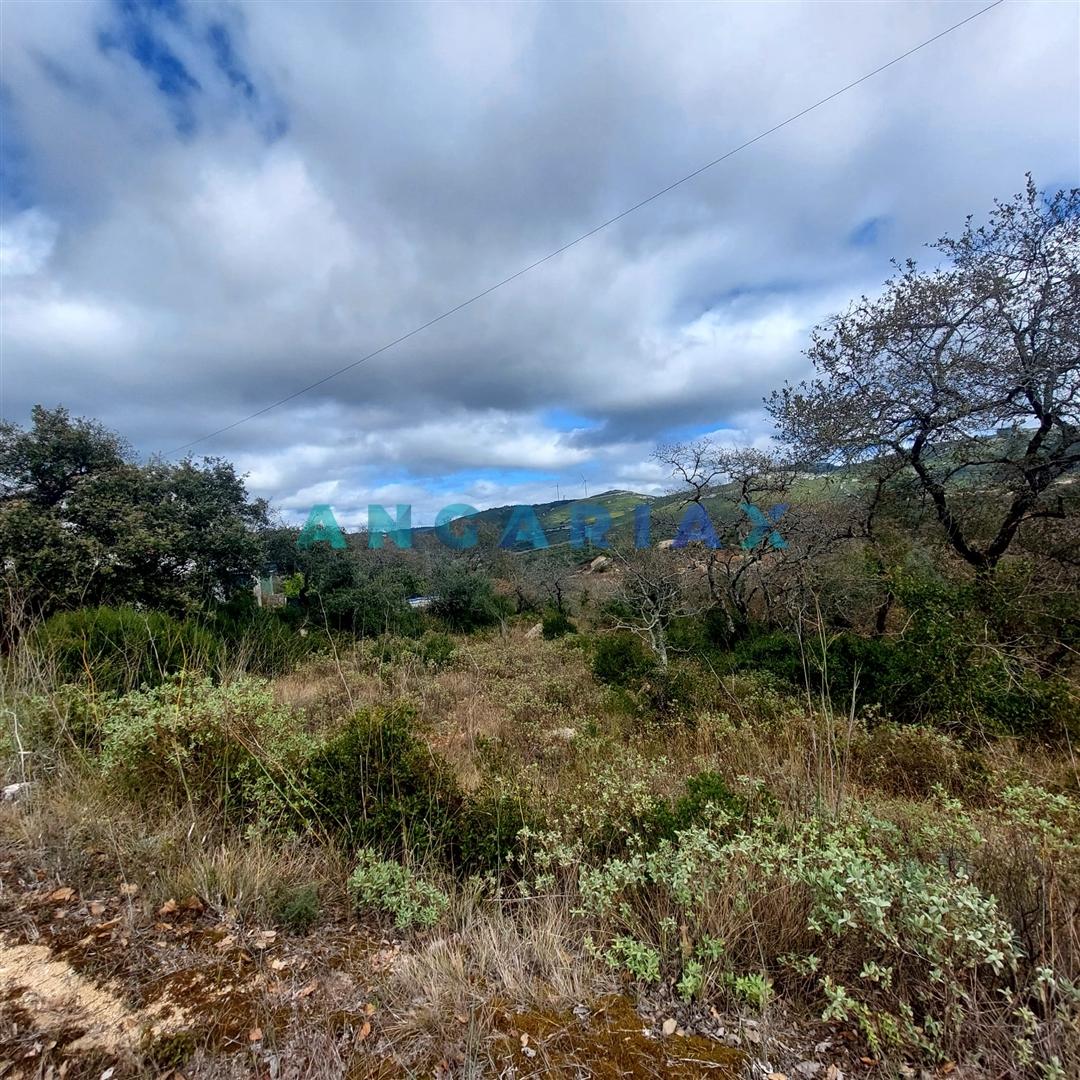 ANG1223 - Terreno para Venda em Alqueidão da Serra, Porto de Mós