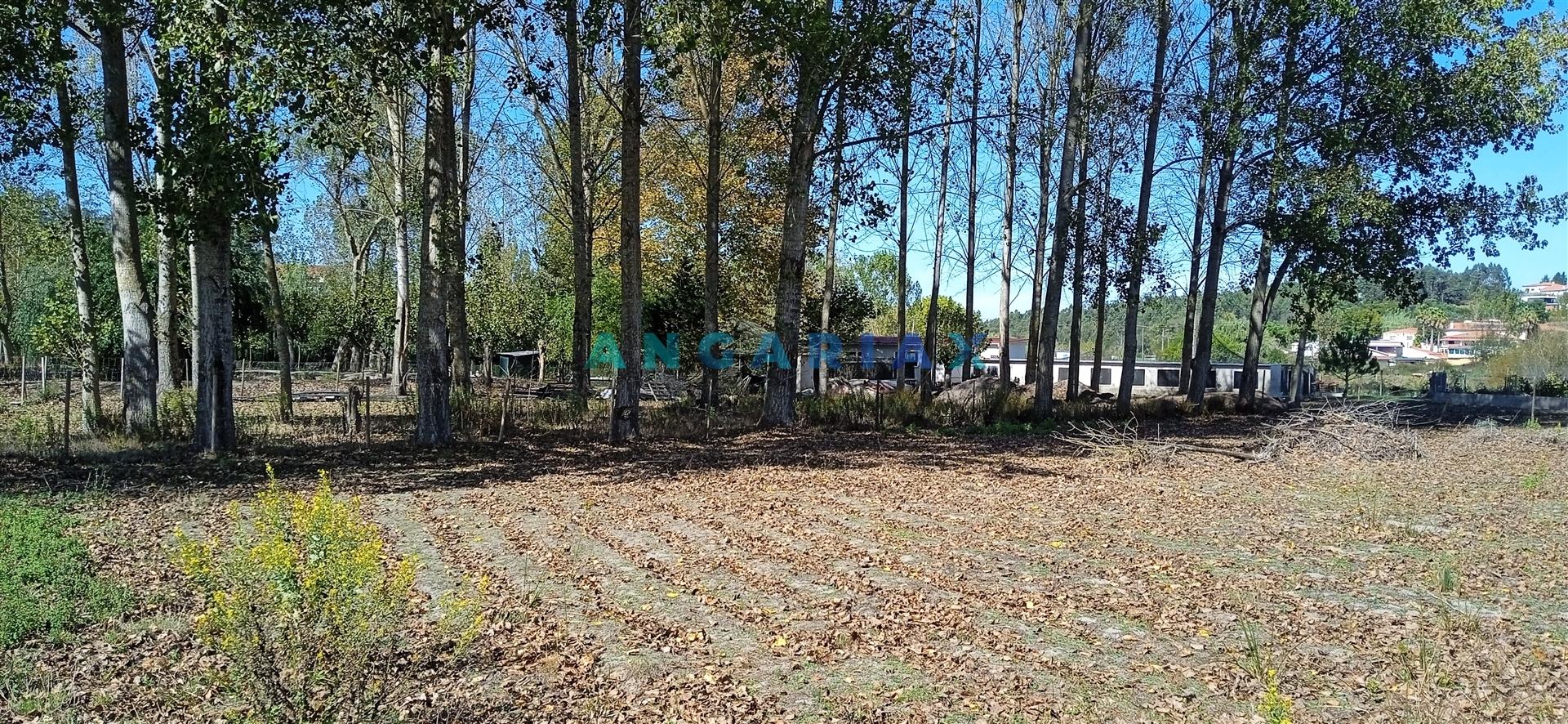 ANG1239 - Herdade para Venda em Vieira de Leiria