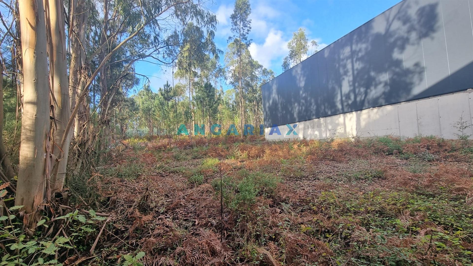 ANG1235 - Terreno para Venda em Leiria